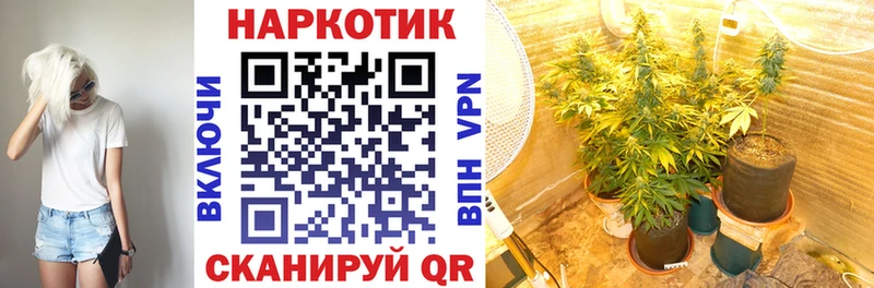 A-PVP Суджа