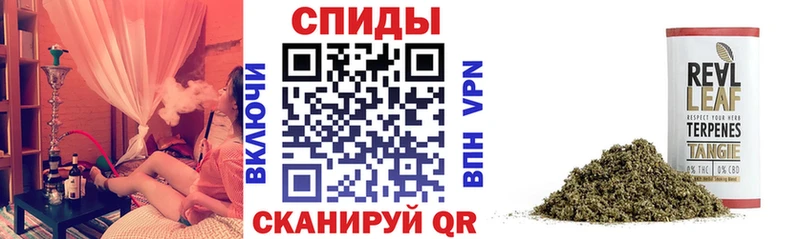 БУТИРАТ буратино Суджа