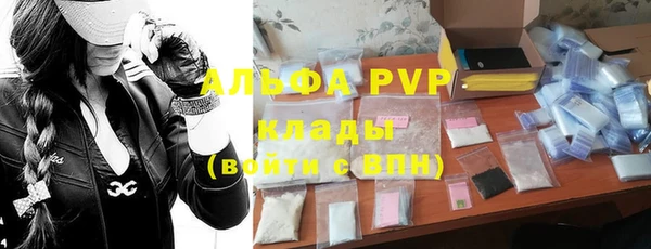 стафф Алзамай