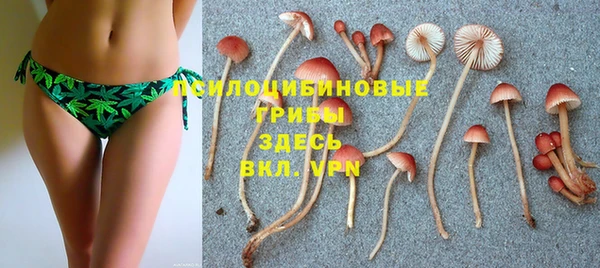 скорость Гусь-Хрустальный