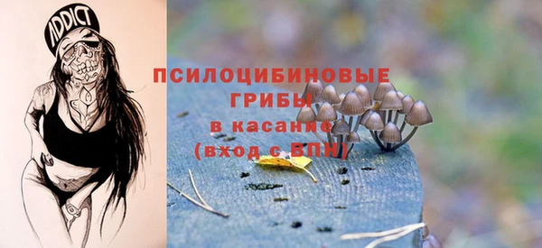 стафф Алзамай