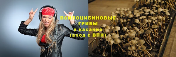 стафф Алзамай