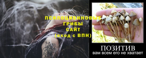 не бодяженный Алексин