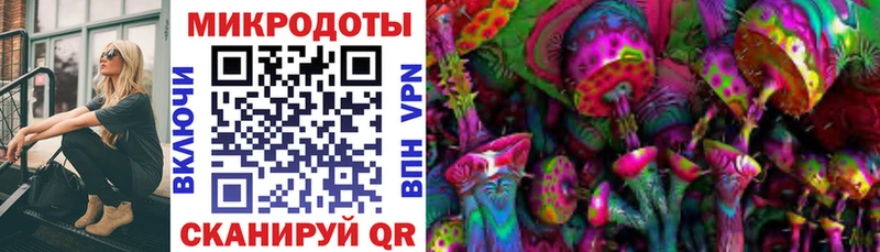 купить закладку blacksprut рабочий сайт Галлюциногенные грибы мухоморы Суджа